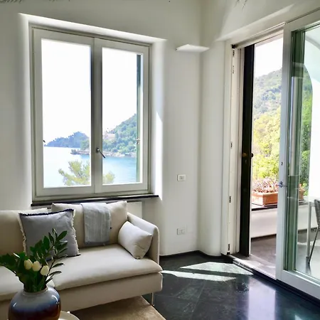 Glicine - Luxury *