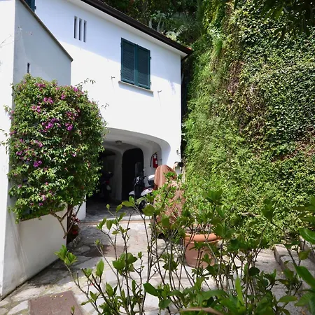 Glicine - Luxury * Santa Margherita Ligure