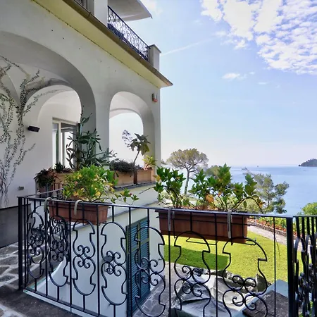Glicine - Luxury *